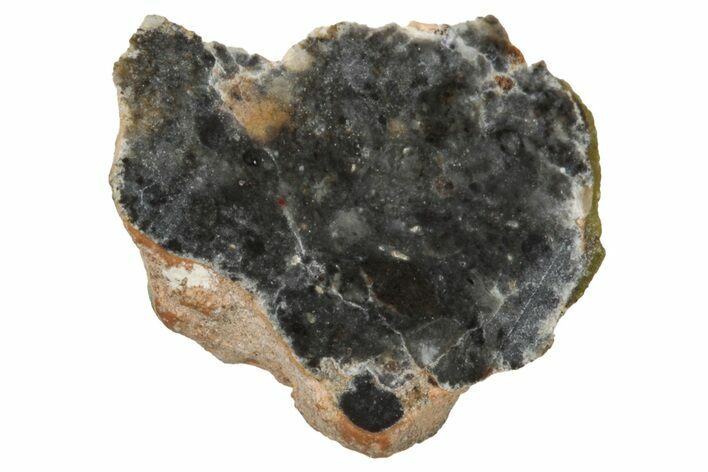 Lunar Meteorite ( g) Section - Bechar #348203